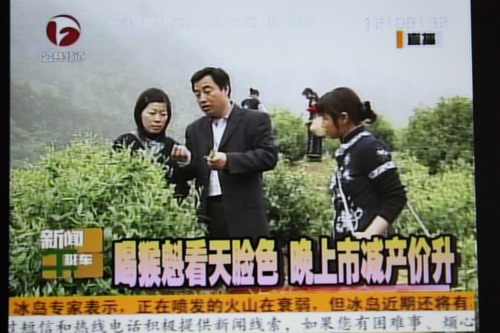 安徽电视台谈今年的猴魁茶.jpg 安徽电视台谈今年的猴魁茶.jpg