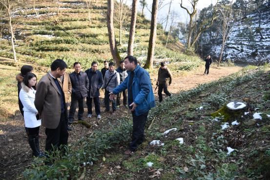 宛晓春一行到桃源基地考察.jpg 宛晓春一行到桃源基地考察.jpg