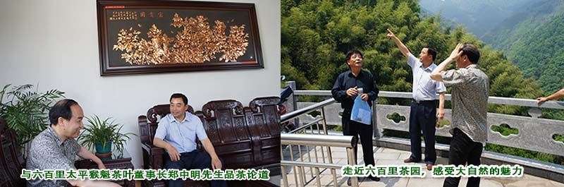 大师咏诗盛赞六百里太平猴魁.jpg