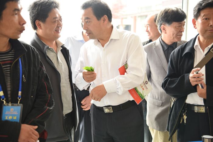 首届太平猴魁茶制作技师大赛.jpg