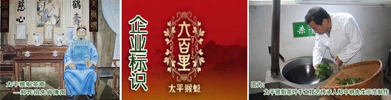六百里太平猴魁发展史.jpg