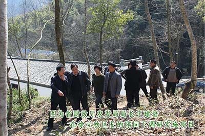 六百里猴魁调研.jpg